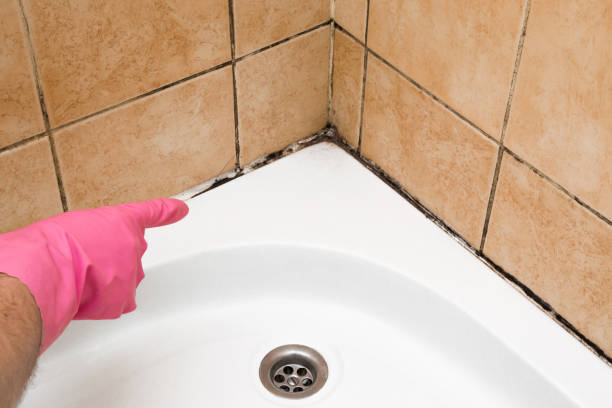 Best Residential Mold Removal  in Manchester, GA